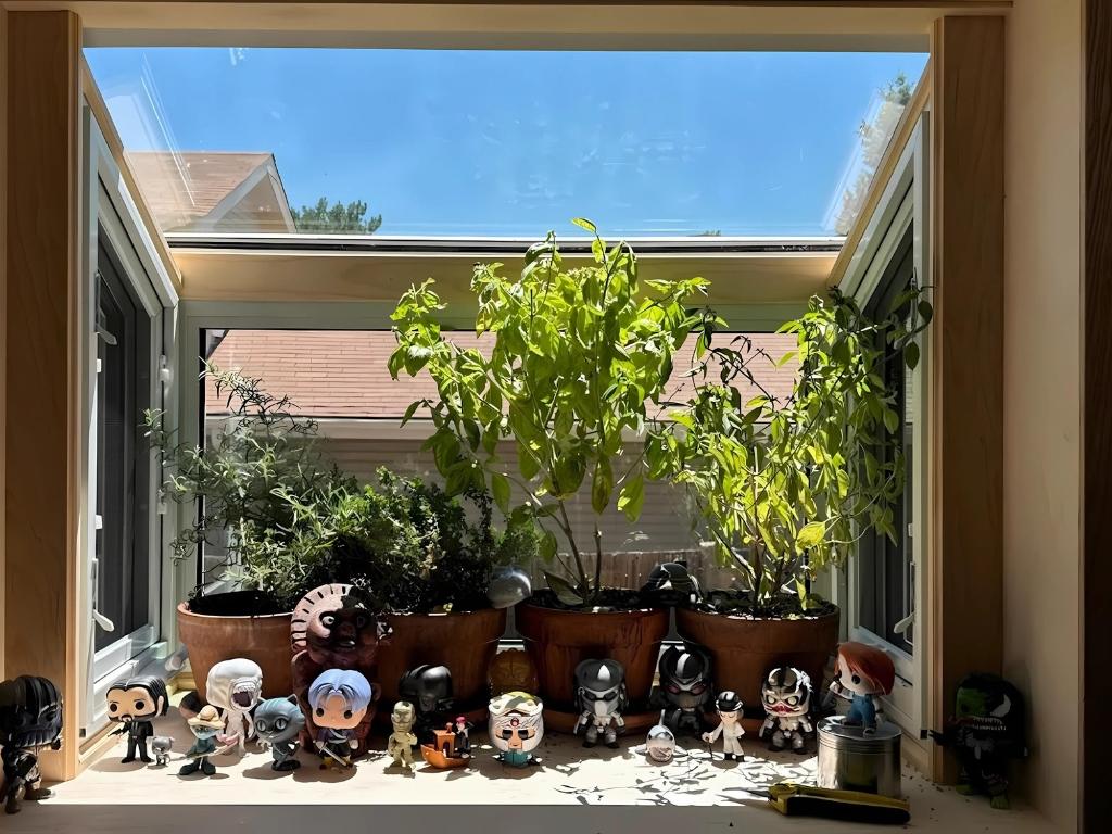 What Are Garden Windows? Benefits & Best Uses Explained