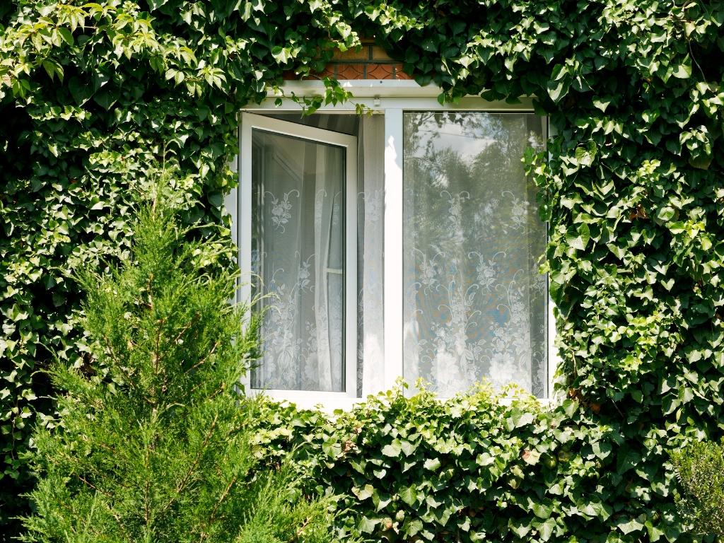 What Is a Casement Window? Pros, Cons, and Best Uses Explained